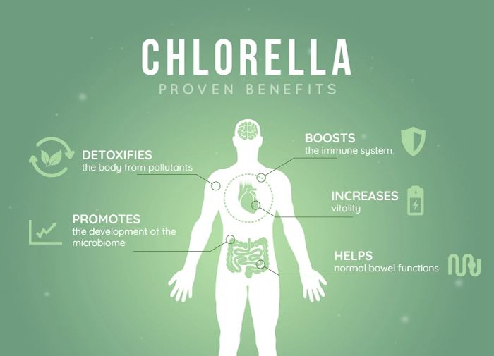 Chlorella powder benefits Chlorella powder benefits