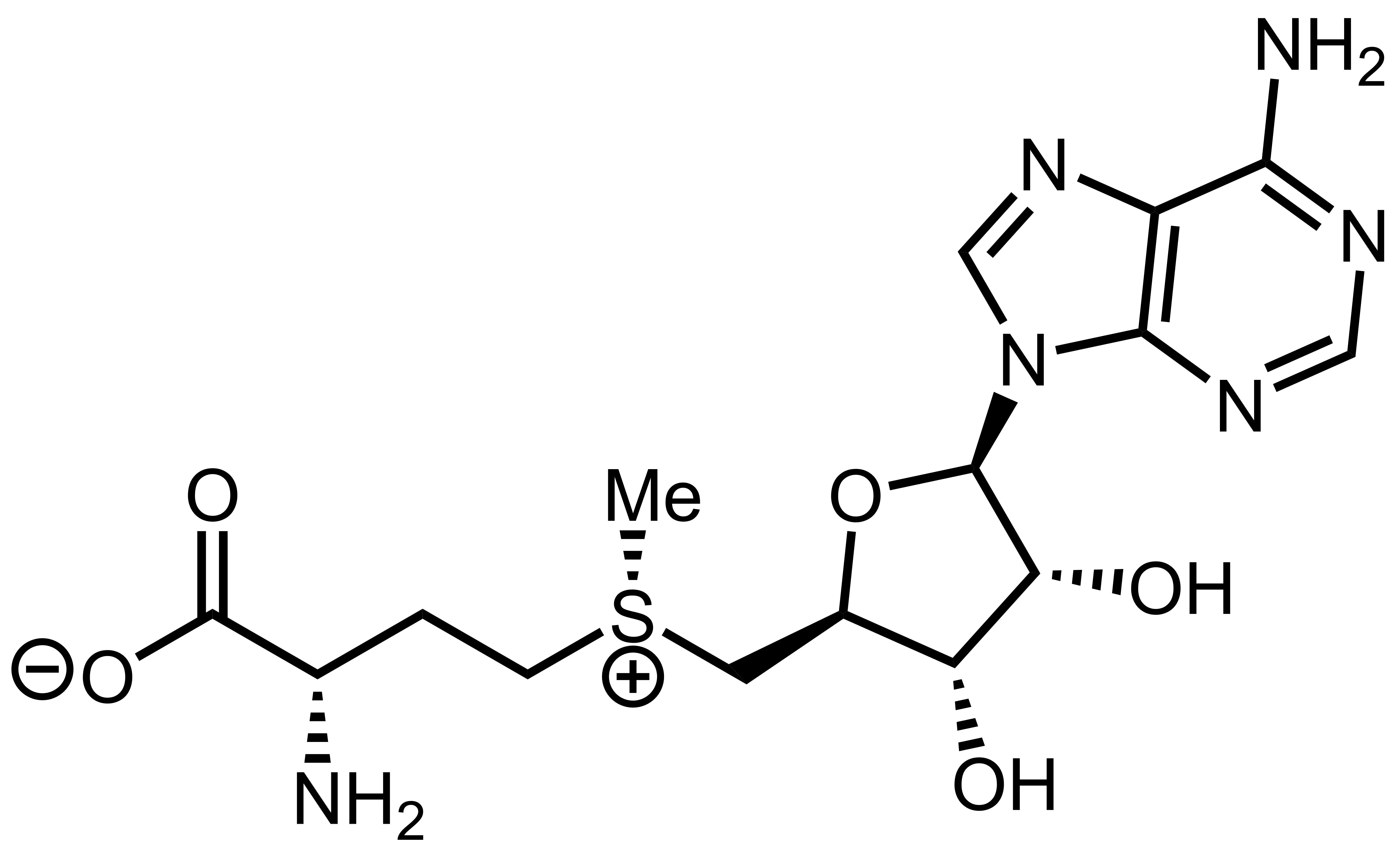 S-Adenosyl methionine S-Adenosyl methionine