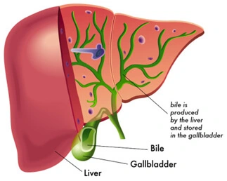 L–Glutathione For Liver