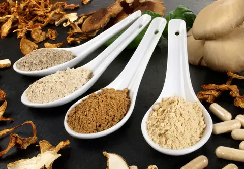 lion's mane mushroom extract powder
