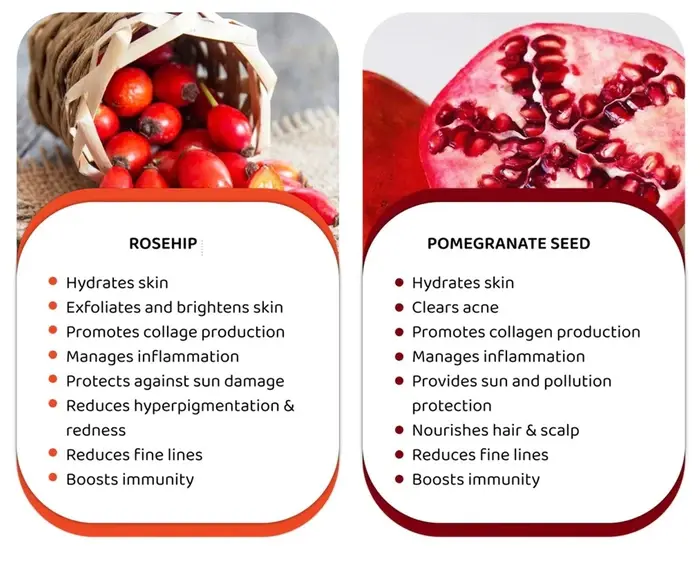 Rosehip extract VS Grape seed extract