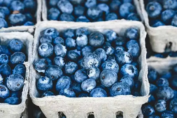 Pterostilbene Foods Sources Pterostilbene Foods Sources