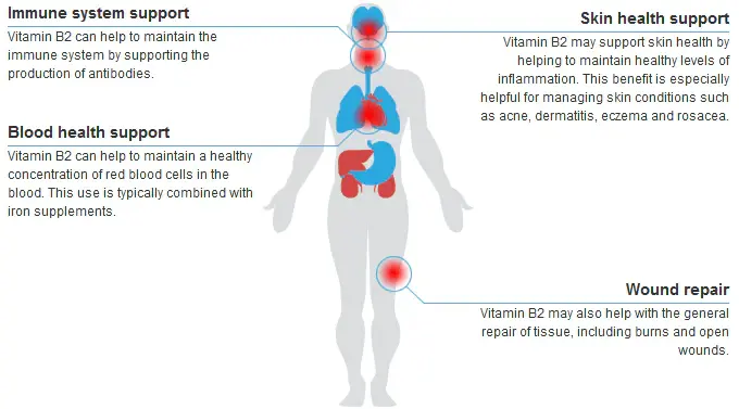 Vitamin B2 Riboflavin | Health Benefits 