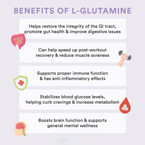 L-Glutamine Benefits L-Glutamine Benefits