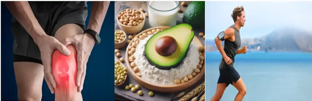 Avocado Soybean Unsaponifiable (ASU) Powder Manufacturers Suppliers Factory - Avocado Soybean Unsaponifiable (ASU) Powder Manufacturers Suppliers Factory -