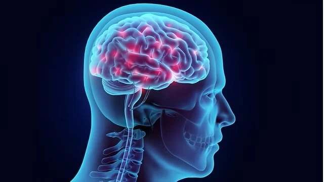 L-Ergothioneine for brain L-Ergothioneine for brain