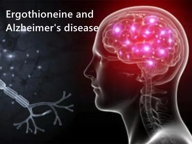 Is L-ergothioneine Good For Alzheimer's Disease? 
