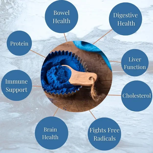 phycocyanin powder benefits