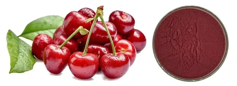 Tart cherry extract powder Tart cherry extract powder