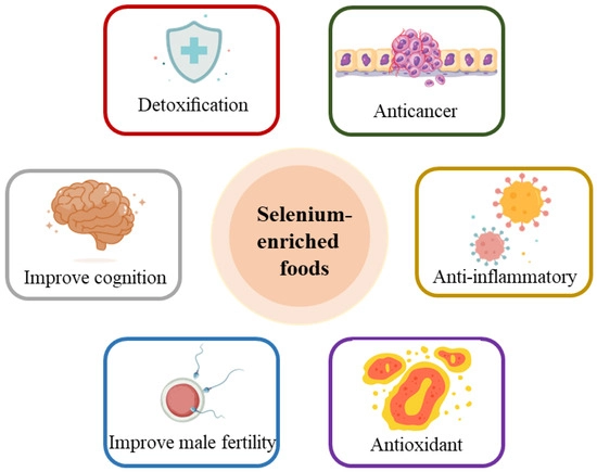 Selenium-Enriched Yeast Benefits Selenium-Enriched Yeast Benefits