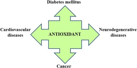 Hydroxytyrosol Antioxidant Hydroxytyrosol Antioxidant
