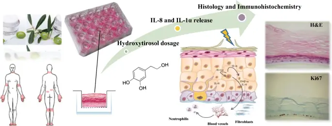 Hydroxytyrosol For Skin Hydroxytyrosol For Skin