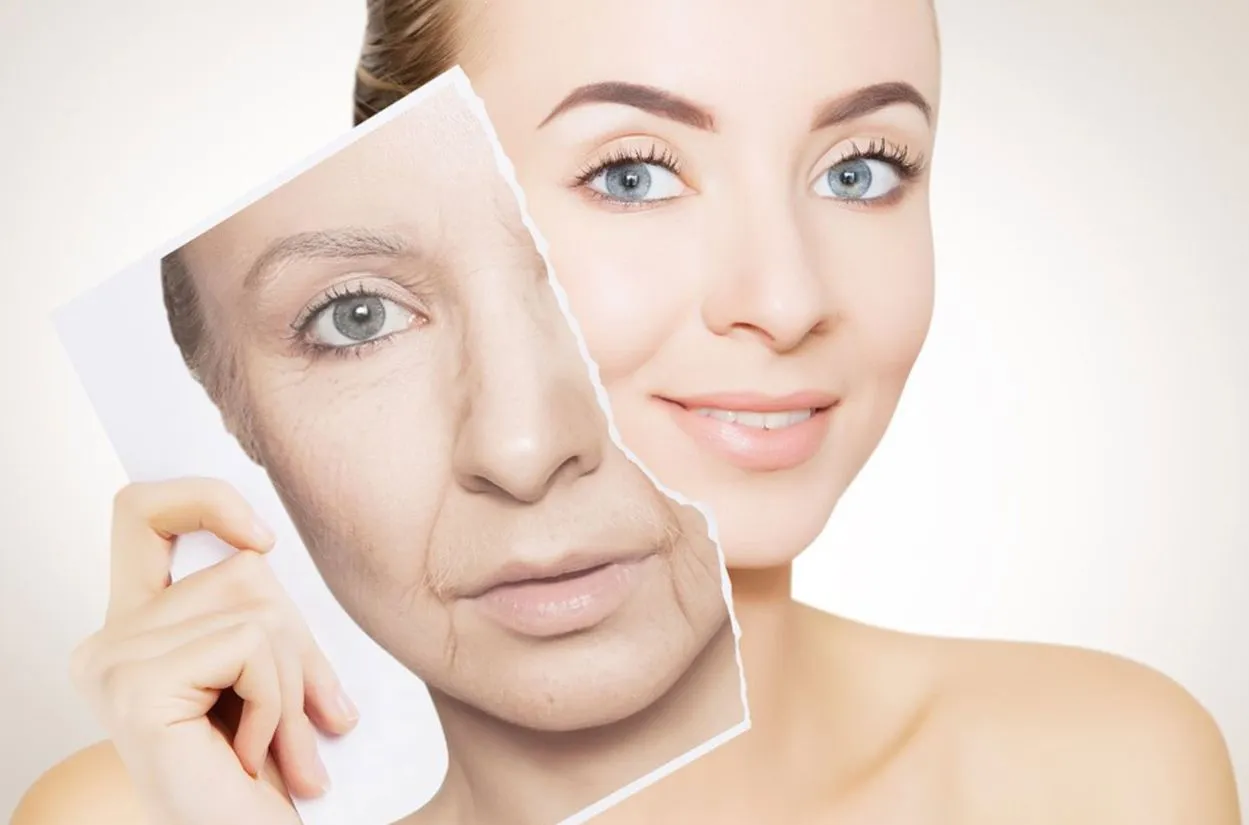 Anti-Aging Spermidine Anti-Aging Spermidine