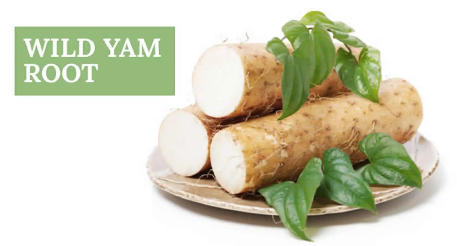  Diosgenin in Wild yam