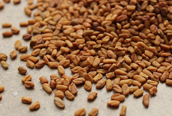 Fenugreek Seed in Diosgenin 