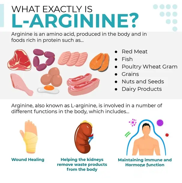 L- Arginine powder in foods L- Arginine powder in foods