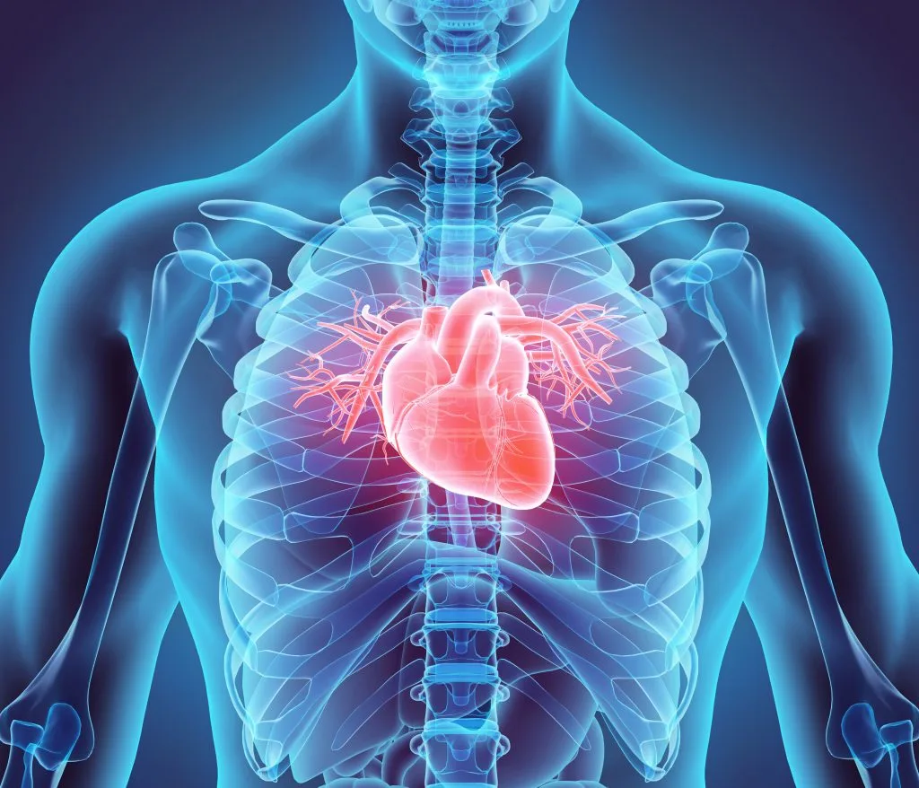 Combining L-arginine for heart health Combining L-arginine for heart health