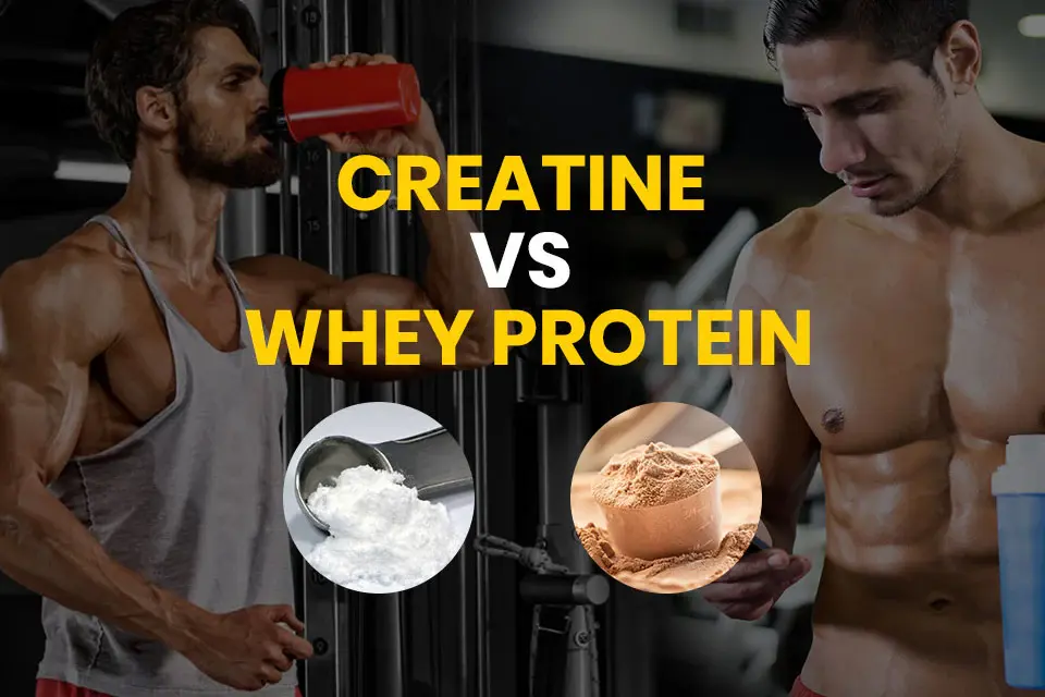 Creatine vs Whey Protein Powder Creatine vs Whey Protein Powder