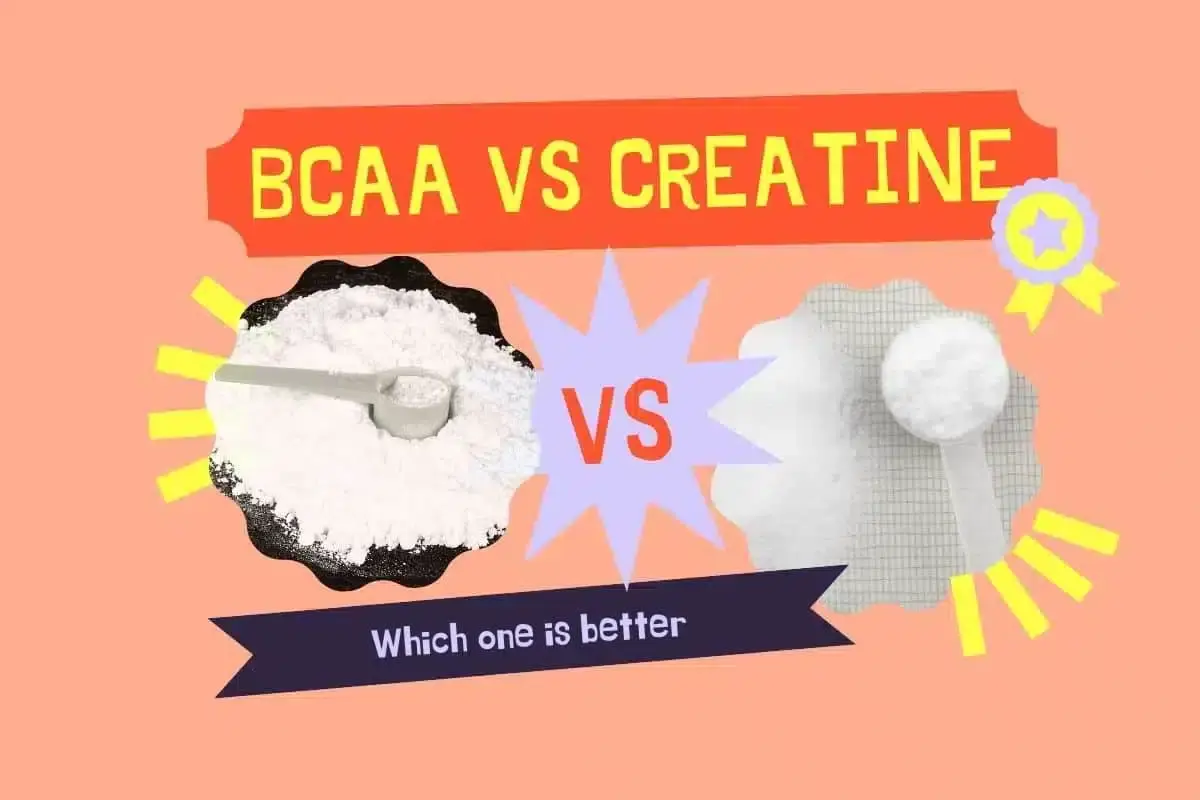 BCAA vs Creatine BCAA vs Creatine