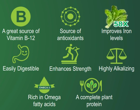 Is Spirulina A Good Source Of Vitamin B12?