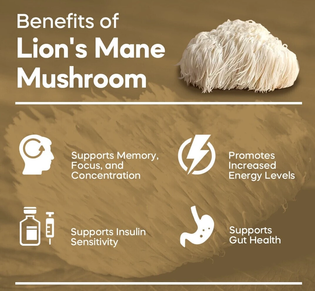 Organic Lions Mane Mushroom Powder Organic Lions Mane Mushroom Powder