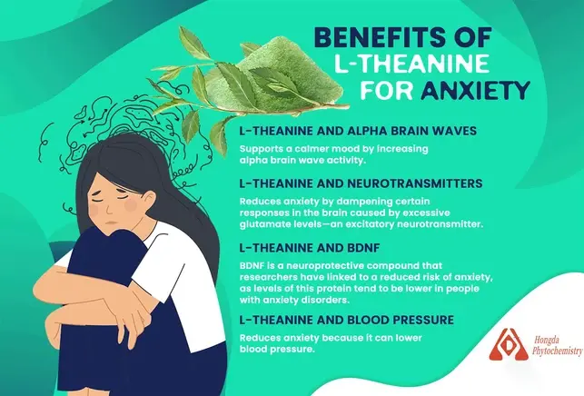 L-theanine for Anxiety L-theanine for Anxiety