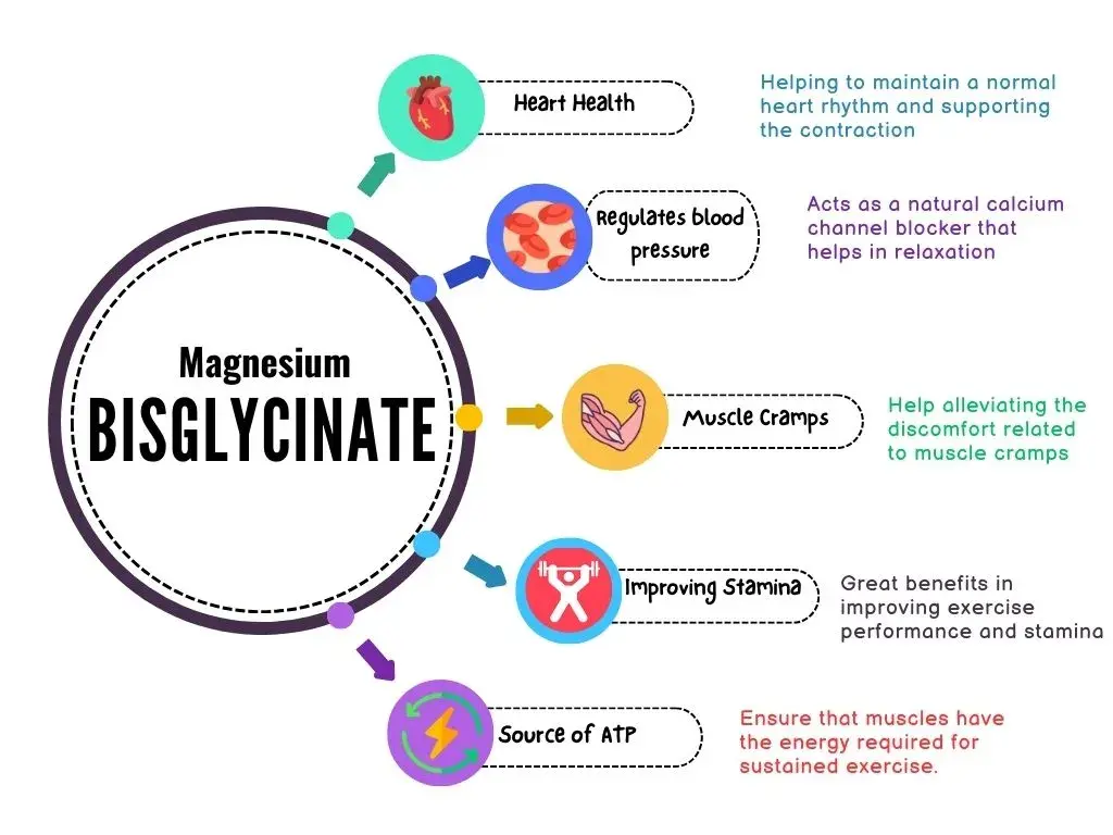 Magnesium Bisglycinate Benefits Magnesium Bisglycinate Benefits