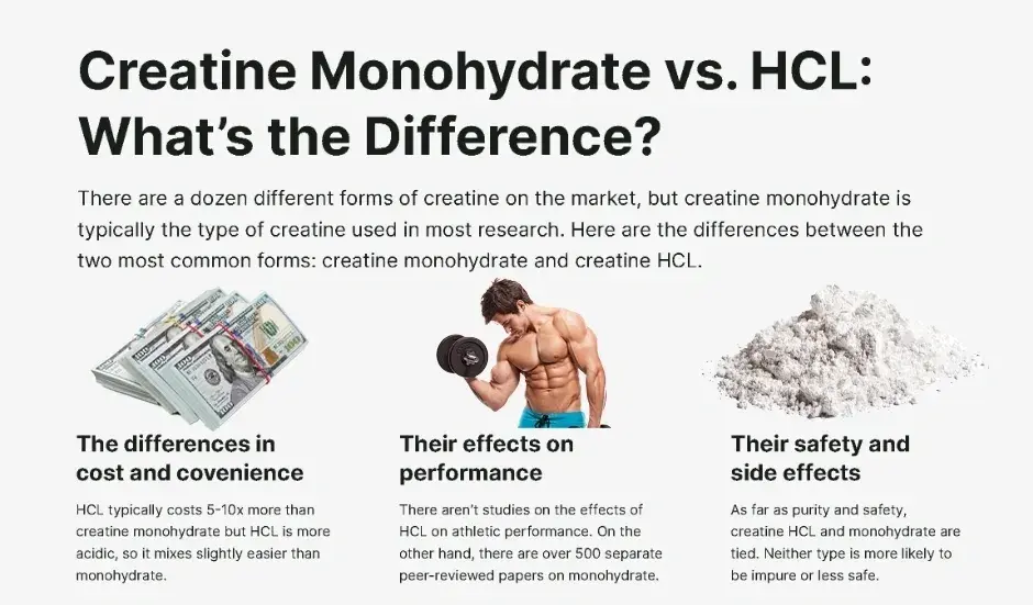 HCL Creatine vs Monohydrate HCL Creatine vs Monohydrate