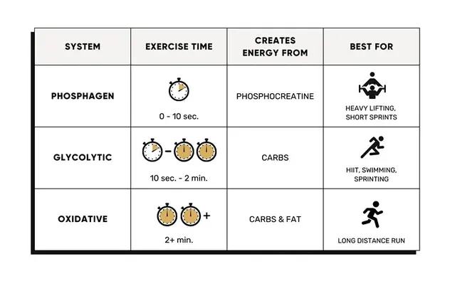 creatine hcl vs monohydrate difference creatine hcl vs monohydrate difference
