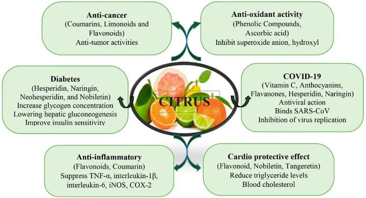 Citrus Health Benefits