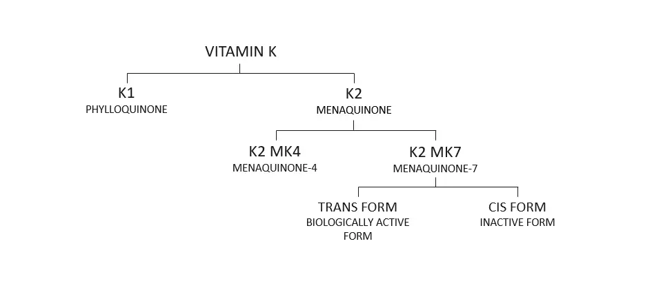 Vitamin K Vitamin K