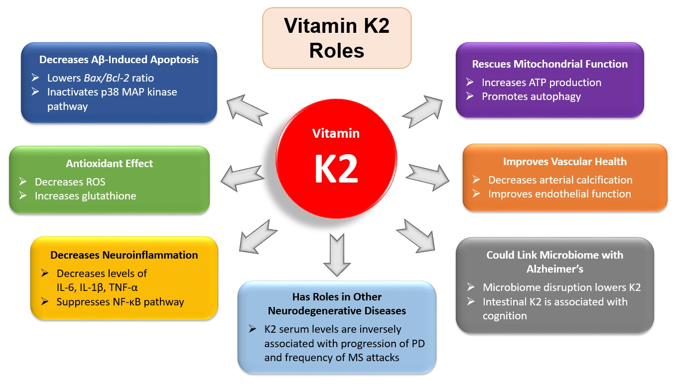 Vitamin K2 Benefits Vitamin K2 Benefits