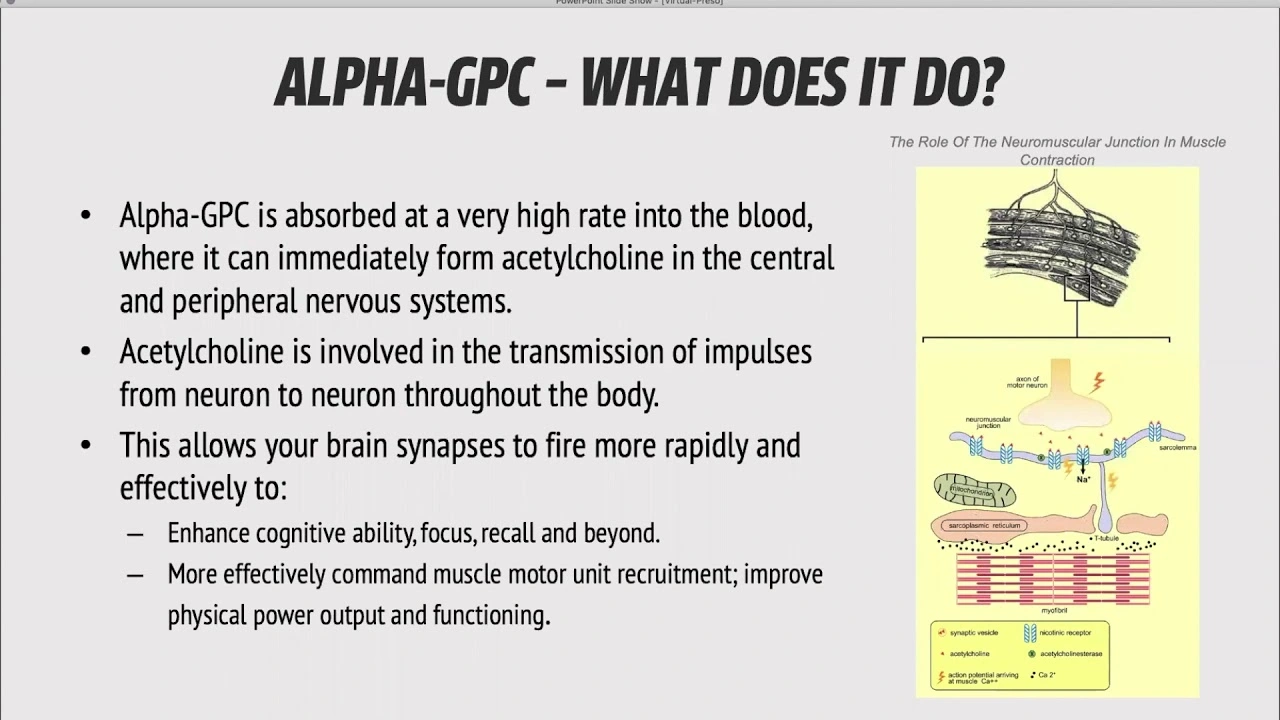  Alpha-GPC Benefits 