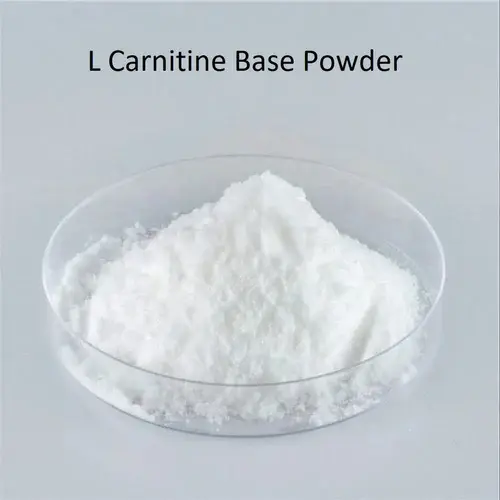 l-carnitine powder