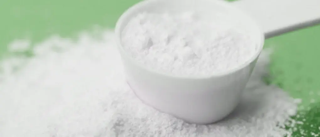 l carnitine powder l carnitine powder