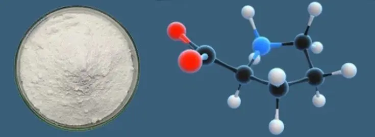 L-Proline powder L-Proline powder