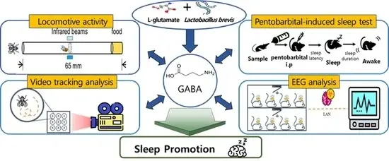 Gamma Aminobutyric Acid Improves Sleep 
