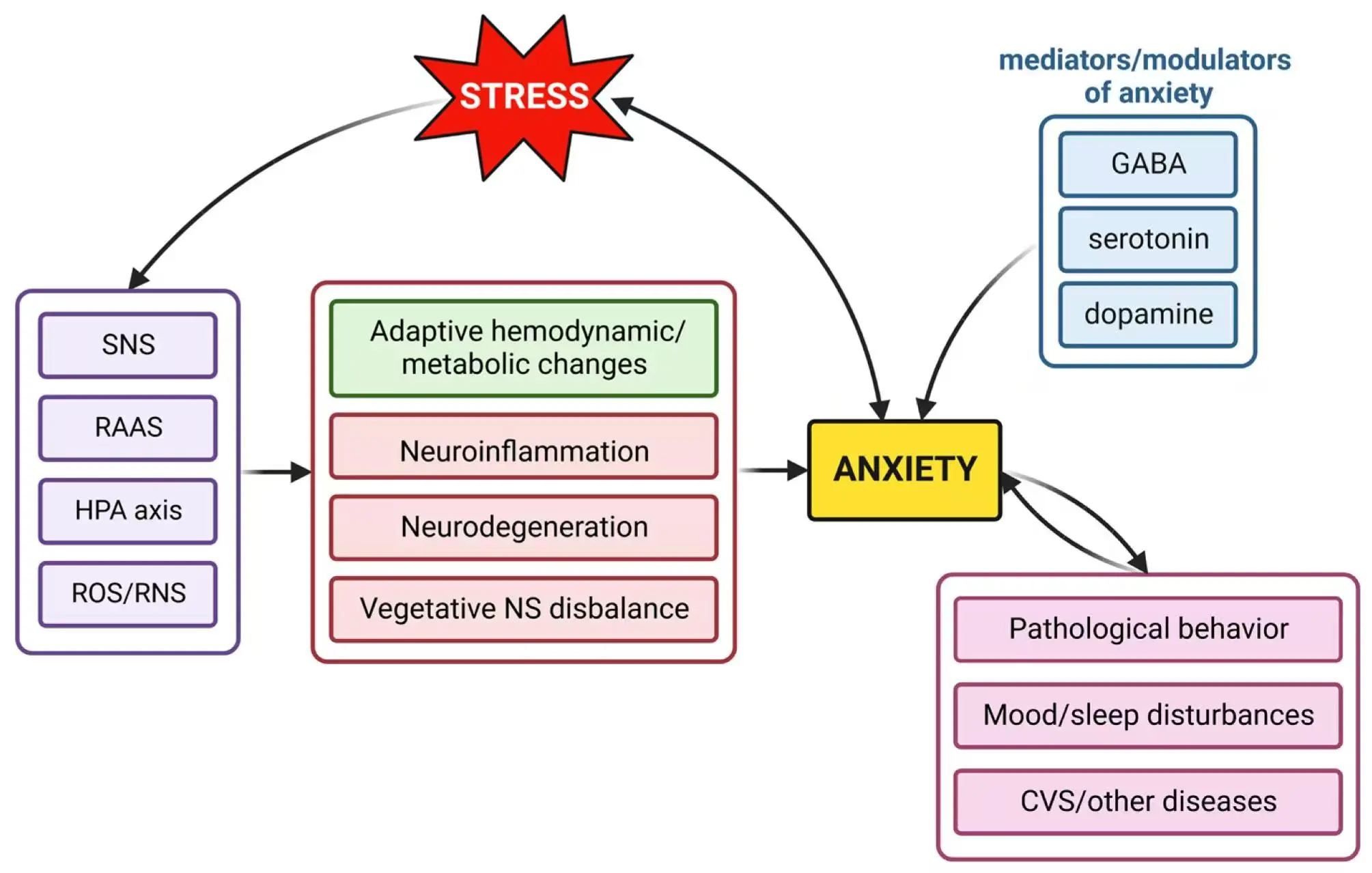 Gamma Aminobutyric Acid Powder Help Reduce Anxiety And Stress