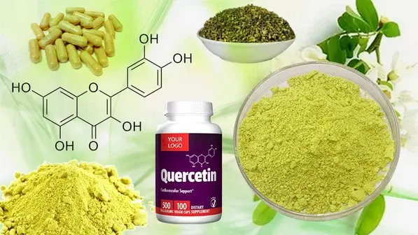Quercetin Dihydrate Powder Quercetin Dihydrate Powder