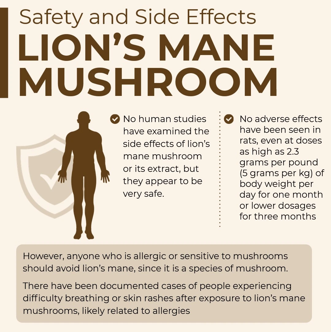 Lion's Mane Powder Side Effects Lion's Mane Powder Side Effects