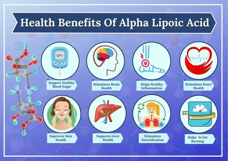 Health Benefits Of Alpha Lipoic Acid