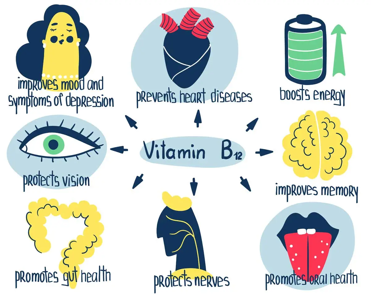 Vitamin B12 Benefits Vitamin B12 Benefits