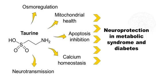 Taurine for Neuroprotective Taurine for Neuroprotective