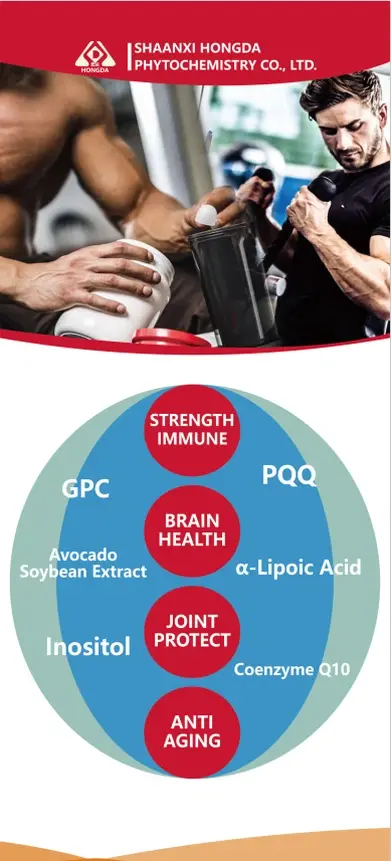 The main products