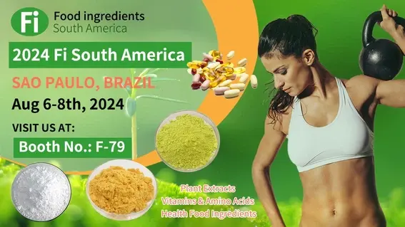 2024 Fi South America----shaanxi hongda 2024 Fi South America----shaanxi hongda