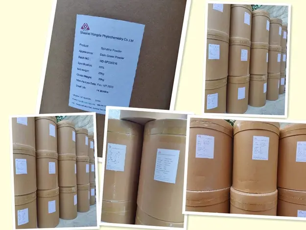 spirulina powder exporting spirulina powder exporting