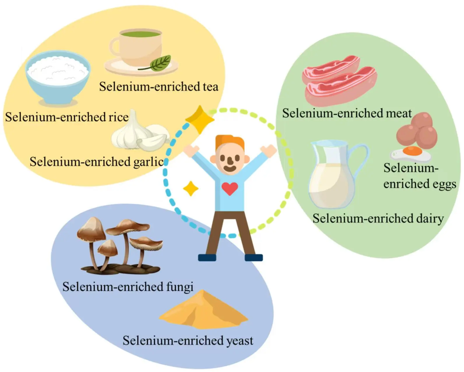 Selenium-Enriched Yeast Selenium-Enriched Yeast