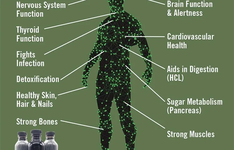 Fulvic acid benefits for humans.