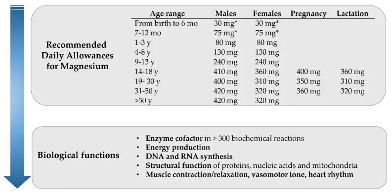 How much Magnesium Should I take? 