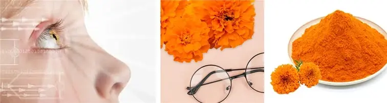 China Marigold Flower Extract Lutein Manufacturers Suppliers Factory